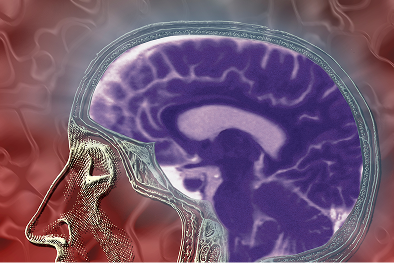 Neurociência dos Valores e Crenças