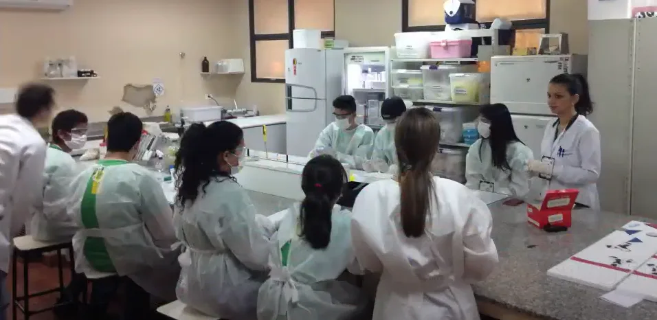 Rede Nacional de Educação e Ciência